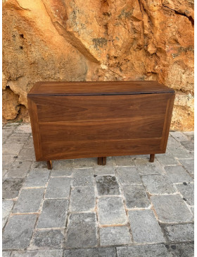 Mesa plegale